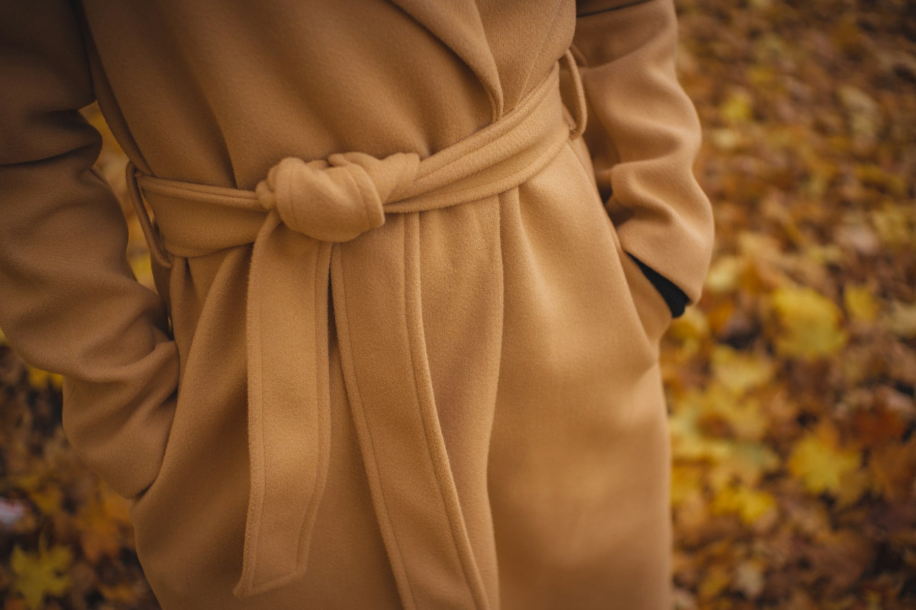 The Orchard Collection lookbook