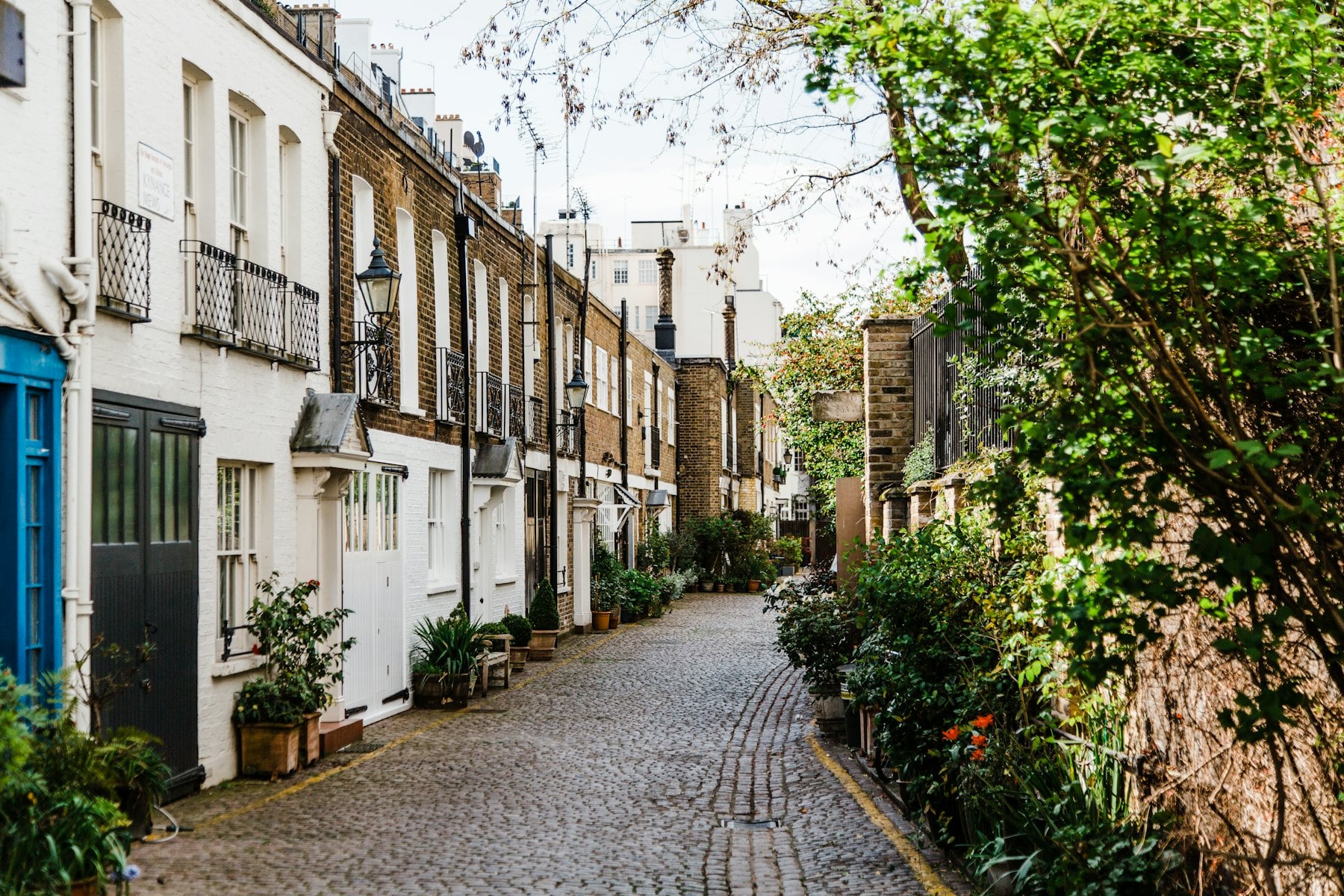 Apple & Ivey London — Marylebone